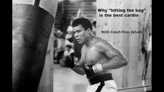 Why hitting the bag is the best cardio for your mma practice