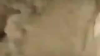 Monster Horse 