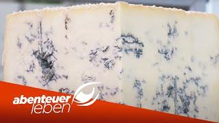 Das Geheimnis des italienischen Gorgonzola | Abenteuer Leben | Kabel Eins