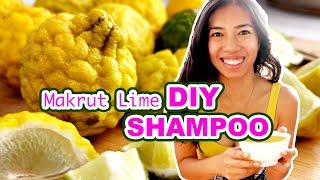 Makrut (Kaffir) Lime Shampoo: Just 2 Ingredients! + Review