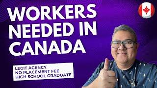 WORKERS NEEDED IN CANADA I LEGIT AGENCY I HIGHSCHOOL GRADUATE I NO PLACEMENT FEE I BUHAY CANADA