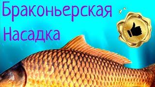 Браконьерская секретная НАСАДКА !!!!!