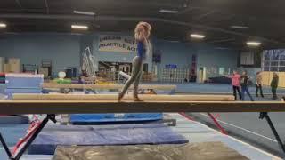 SHARK WEEK 2024 Level 3 Beam Routine