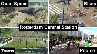 Rotterdam Central: A Peaceful Transportation Hive of Human Activity