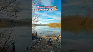 Кто любит такой отдых??? #клубрыбаков #рыбалка #fishing #карпфишинг #shorts