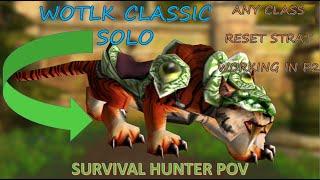 WOTLK Classic - ZG Tiger Boss Solo P2. Reset Strat - POV Survival Hunter