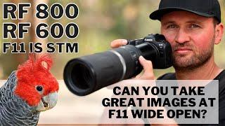 Canon RF 800 & 600mm F11 IS STM - Just A Gimmick Or Can You Take GREAT Images At F11 Wide Open!?