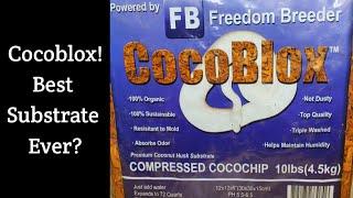 Cocoblox - Best Snake Substrate Ever?!?