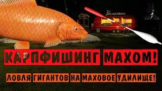 Карпфишинг махом - Ловля гигантов на маховое удилище - Русская Рыбалка 4