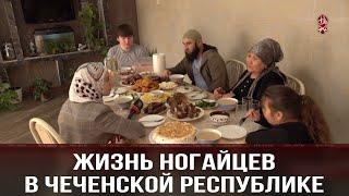 ЖИЗНЬ НОГАЙЦЕВ В ЧЕЧЕНСКОЙ РЕСПУБЛИКЕ