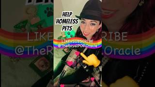 TO BUY PET SUPPLIES #royaltarot #oracle #royal #tarot #charity #pets #royalfamily #shorts #support