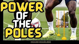 Master the ART of Pole TRAINING | How to train Agility POLES | Solo TRAINING |