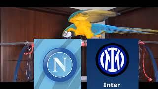 Napoli vs Inter Milan Prediction - Serie A 2023 - Parrot Prediction