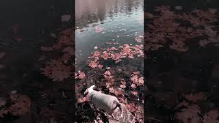 Big Rainbow at Antietam Reservoir Nov. 2023