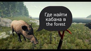 Где найти КАБАНА в THE FOREST?