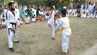 Karate Kid Best Knockouts and Stunts || Taekwondo Kid