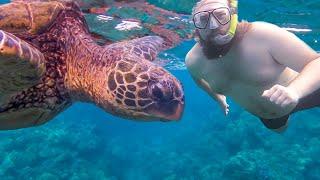 Hawaii on a Budget  Top 10 Affordable Activities in Oahu Hawaii