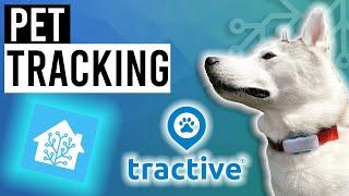 Simple GPS Pet Tracking in HOME ASSISTANT