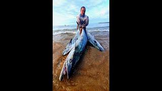 COUTA FISHING OFF DURBAN ( 20.9kgs 15kgs and 13kg couta)