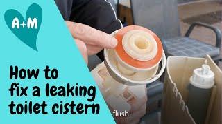 How to change toilet cistern seat washer Caroma dual flush