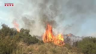 Incendi forestal a Artesa de Segre (Noguera) - 9 d'agost de 2024