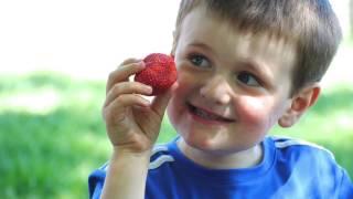 All the seasons at Davison Orchards
