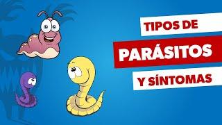 Síntomas de parásitos intestinales