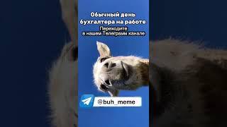 Обычный день бухгалтера #shorts