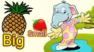 Big and Small || Basic Sizes ||Kindergarten Lessons || Math for Kids
