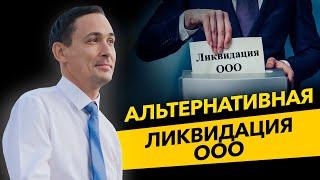 Альтернативная ликвидация ООО. На что смотрит налоговая инспекция и ошибки ООО. Бизнес и налоги.