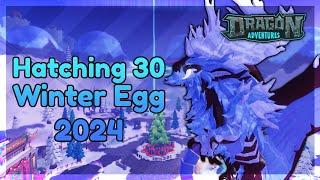 DA Extras || Hatching 30 Winter Egg 2024 — Winter Event 2024  ROBLOX Dragon Adventures