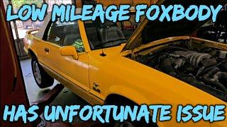 Small Part Failure Causes Major Problem. 93 Special Edition Foxbody Mustang Needs Some Lovin!