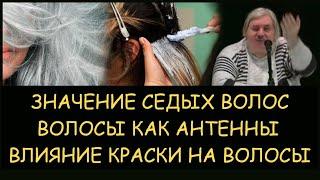  Н.Левашов: Значение седых волос. Какая сила в длинных волосах. Влияние краски д/волос. Блокировки