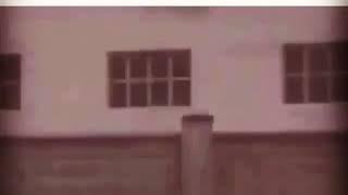 Erb bazara linum Erevanum