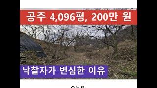 공주 4,096평, 200만 원 (낙찰자가 변심한 이유)