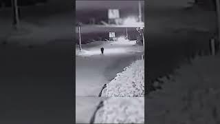 РЕАЛЬНЫЙ ОБОРОТЕНЬ В ЧИЛИ ● СТРАШНАЯ ИСТОРИЯ
