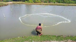 Amazing Net Fishing In River With Beautiful Village Fishing Video