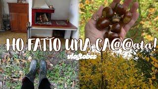 STAVOLTA L HO FATTA GROSSA CASALINGA IO ??Recensione LIBRO  #TRE VALERIE PERRIN #vlogitalia