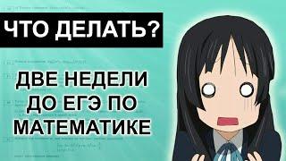 План подготовки к ЕГЭ по математике в последние 2 недели!