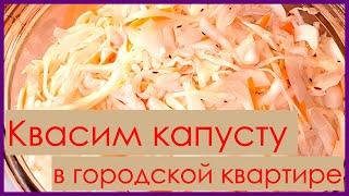 Квасим капусту в городской квартире * Sauerkraut mache in einer Stadtwohnung