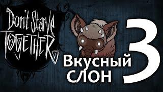 Don't Starve Together / НЕДЕЛЯ 3 / ВКУСНЫЙ СЛОН подготовка к зиме