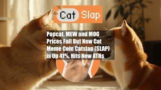 Popcat, MEW and MOG Prices Fall But New Cat Meme Coin Catslap