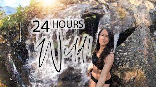 24 Hours Wild! Solo Tarp Camping & Hiking in the Mountains in Spring | A Mini Adventure