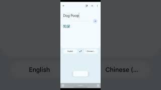 Translating "Dog Poop" in Google Translate