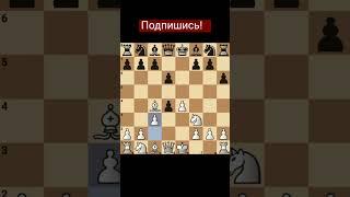 Лучшая атака в шахматах 100% победа!  #дебюты #ловушки #шахматы #chess #chessgame