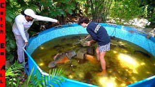 WALKING in PIRANHA FISH Filled JUNGLE POOL!