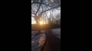 Young and Beautiful | Cover by SomeRandomDorkyDiva