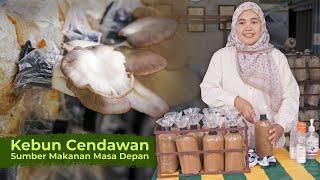 Berhenti Kerja Singapura, Usahakan Cendawan Di Kampung! | Jejak Agro bersama RISDA