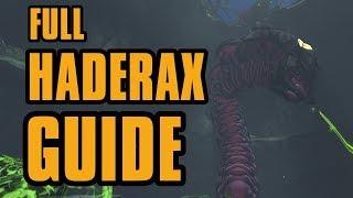 Haderax The Invincible Full Guide, tips and tricks | Borderlands 2