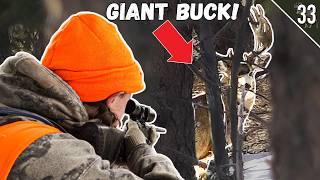 Hunting Mule Deer in the Timber!! (Public Land Rifle Hunt)